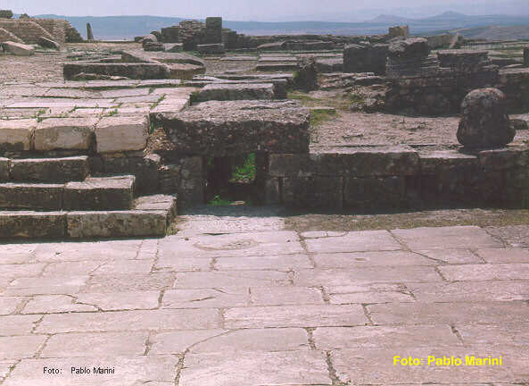 Regenwassergully im Forum